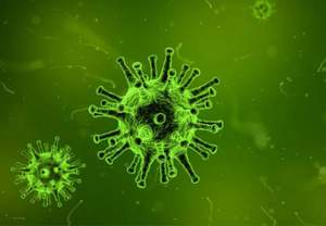 ΕΚΠΑ: Προειδοποίηση για τις λοιμώξεις από Vibrio vulnificus