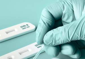    :    rapid tests       