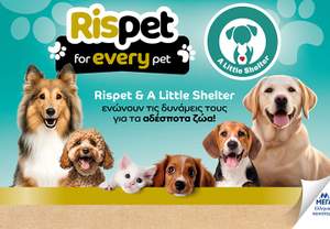 Rispet & A Little Shelter        