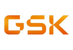 GSK:    12 .   12  