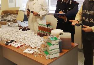 Europol: �������� ������� ����� 33 ����. ������������ ���� ���������� Shield VI