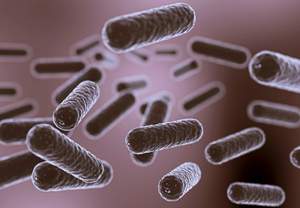 Opella: ��������� ���������� ������� �������� ������