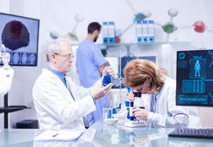 ���� ������� �� ������������������ ���� ������ & �������� �� 2025;