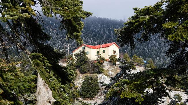 main photo
