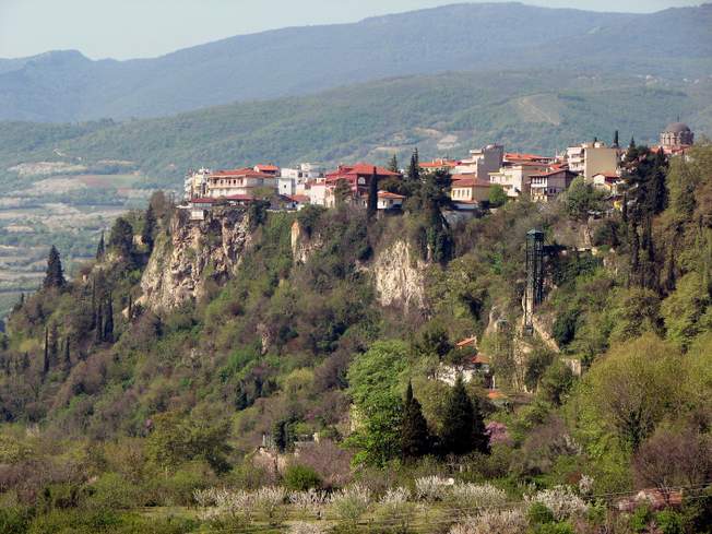 main photo